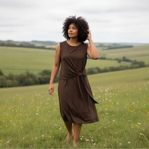 J. Jill Asymmetrical Brown Dress